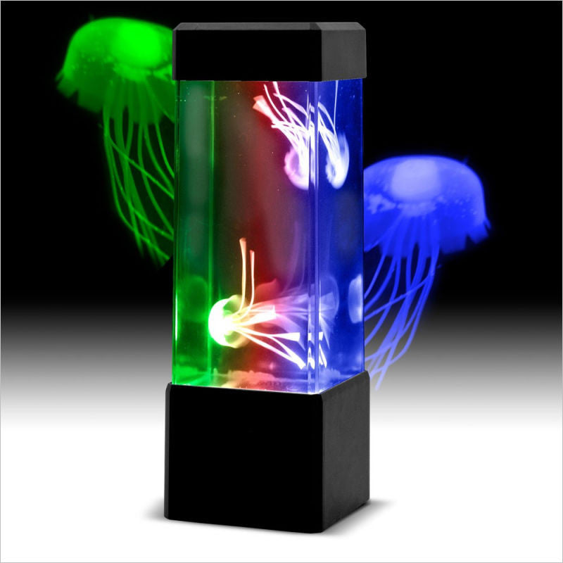 Mini Jellyfish Tank
