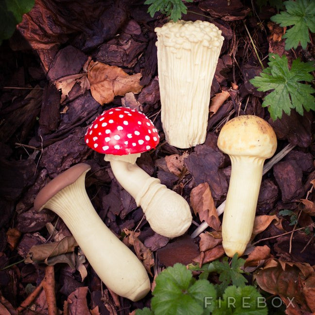 Stress Mushroom Fly Agaric