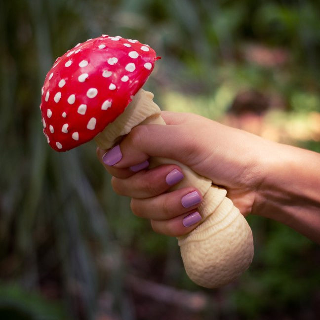 Stress Mushroom Fly Agaric